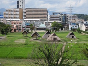 Toro iseki