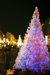 Sapin