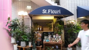 St Fleuri